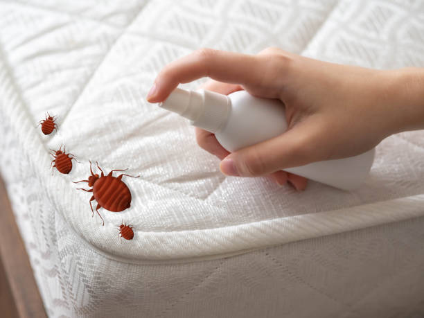 Pest Prevention Services in Eldora, IA